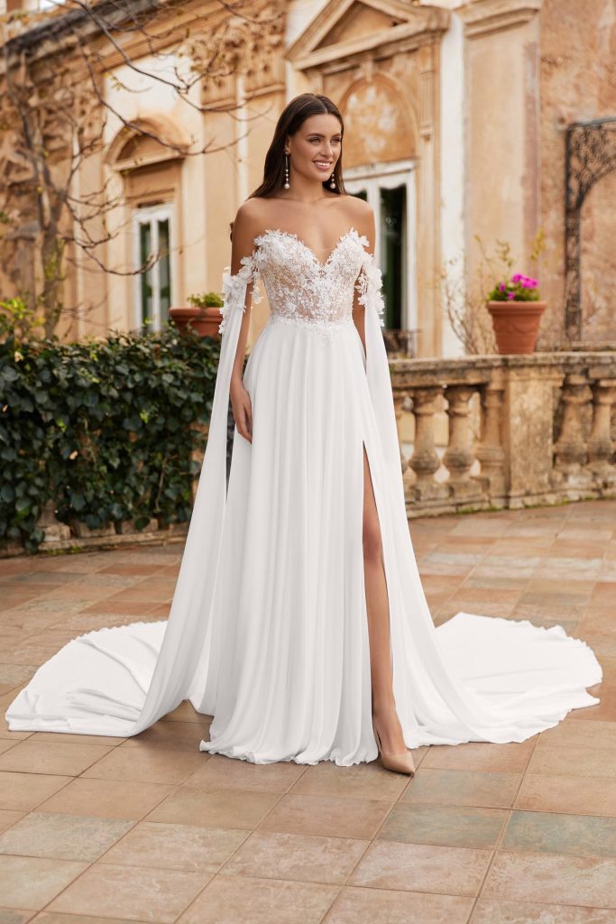 LIVI-8319e+0003 wings