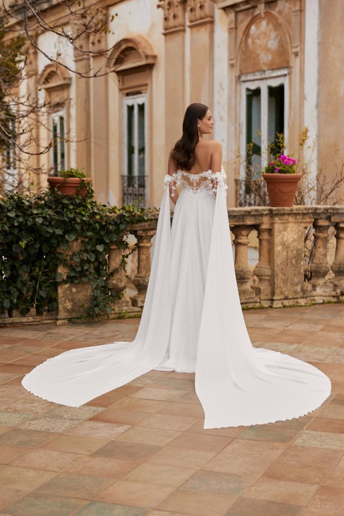 LIVI-8319f+0003 wings